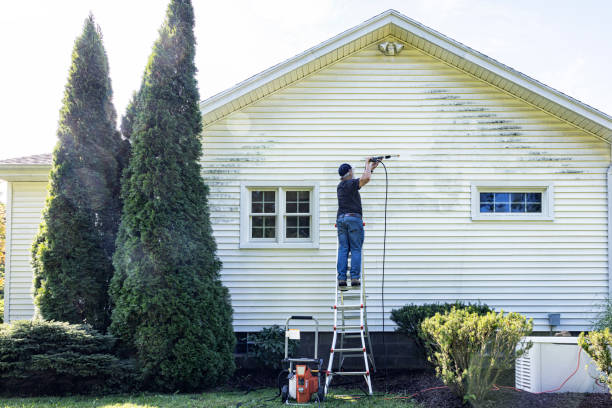 Best Pressure Washing Siding  in El Cerrito, CA