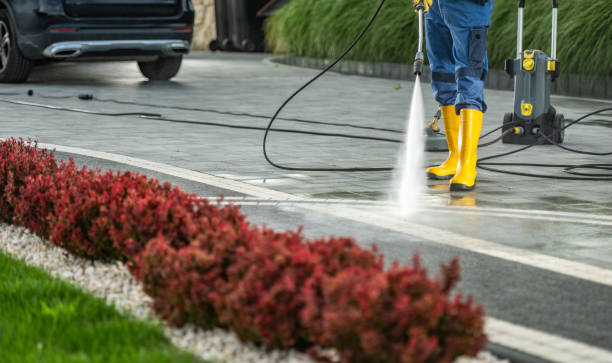 Best Roof Pressure Washing  in El Cerrito, CA